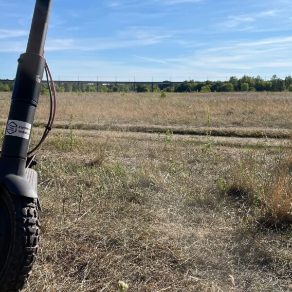 7d9c55047bb9cedeedb9c8032fd68e5e scaled